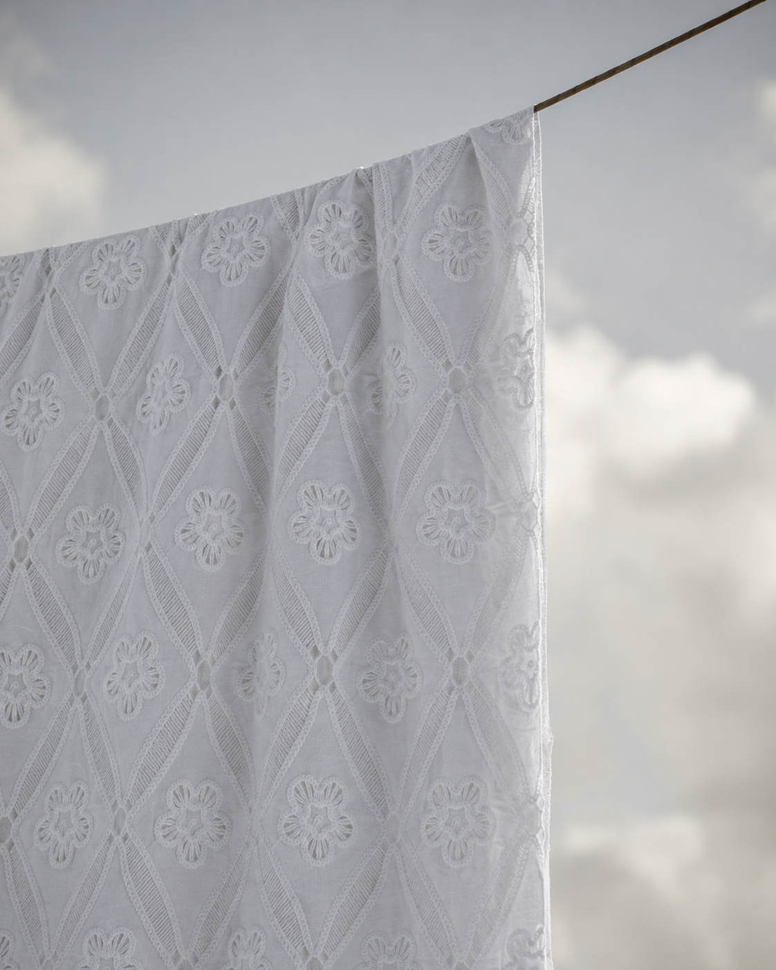 Cotton Schiffli Embroidery Fabric - image 4