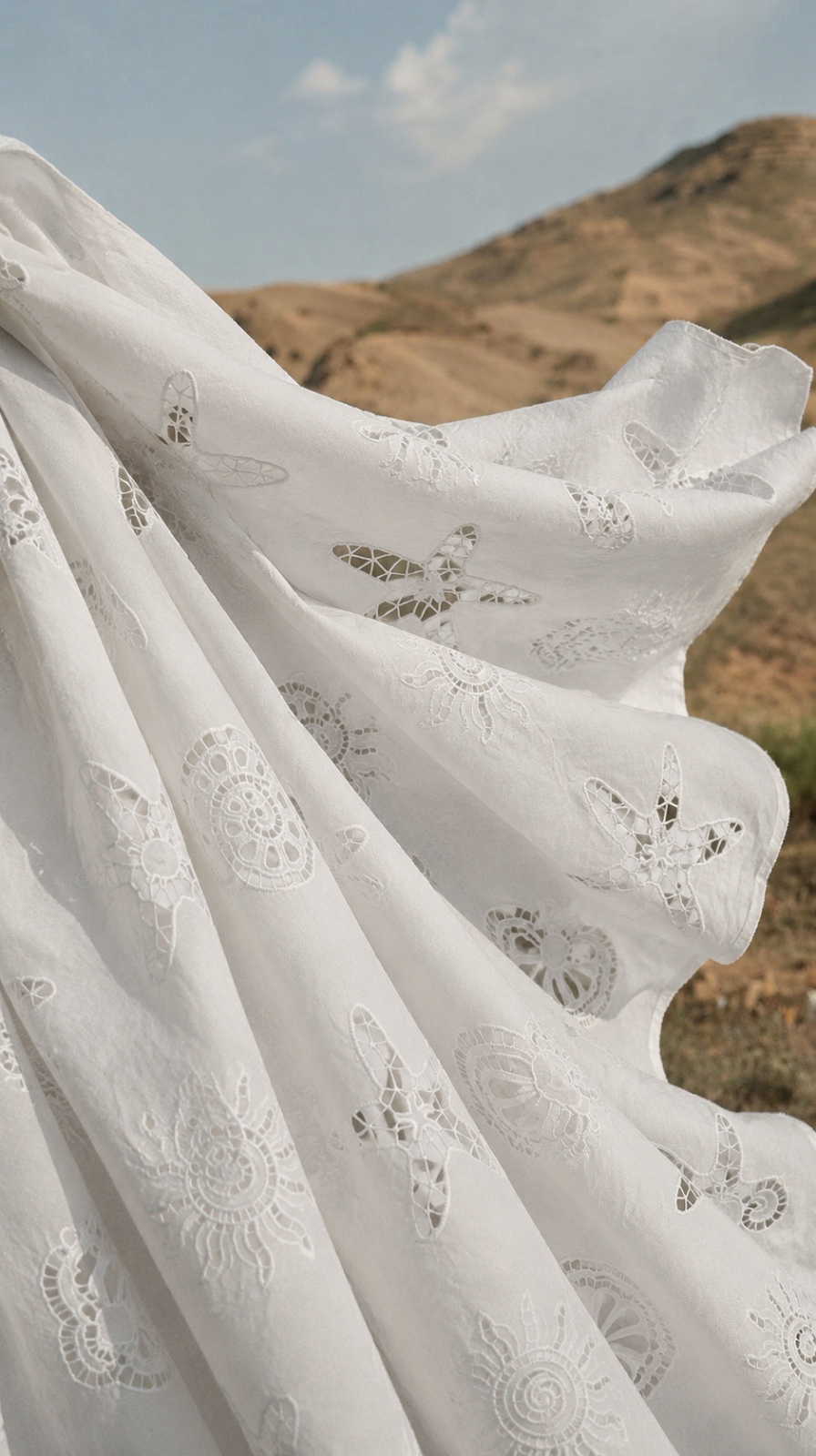 Woven Cotton Fabric with Schiffli Cutwork Embroidery - image 1