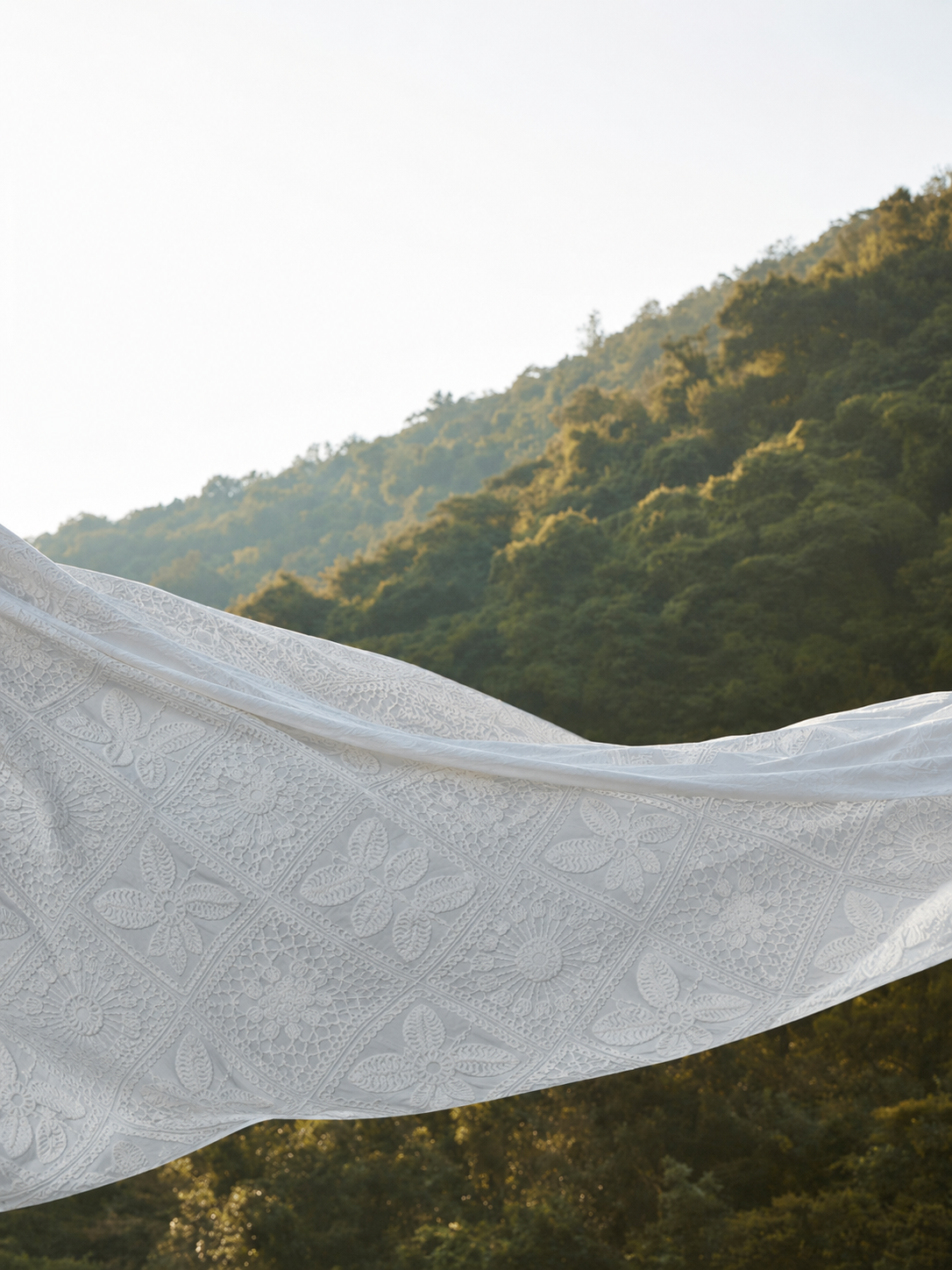 Corded Schiffli Embroidery Fabric - image 3
